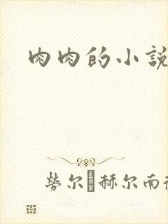 肉肉的小说封面