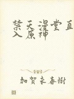 禁天漫堂直接进入原神