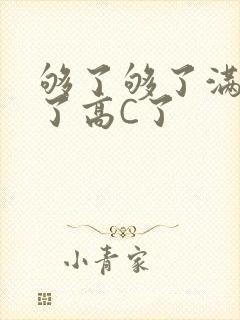 够了够了满到C了高C了封面