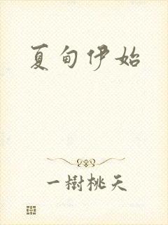 夏甸伊始封面