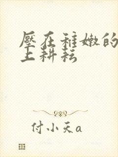 压在稚嫩的身体上耕耘封面