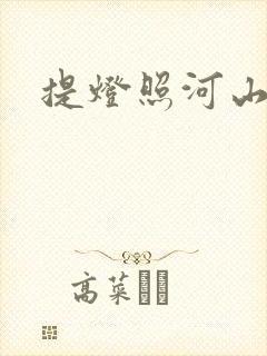 提灯照河山封面