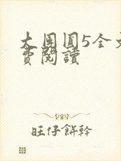 大团圆5全文免费阅读