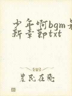 少年啊bgm最新章节txt封面