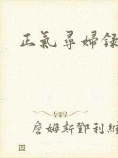 正气寻妇录