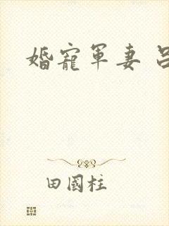 婚宠军妻 吕颜封面