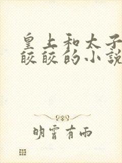 皇上和太子妃沈皎皎的小说免费封面