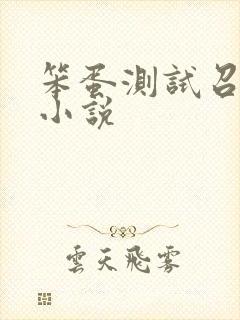 笨蛋测试召唤兽小说