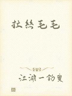 拉丝毛毛