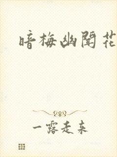 暗梅幽闻花封面