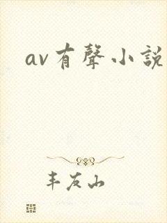 av有声小说