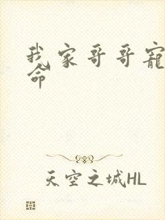 我家哥哥宠妹如命