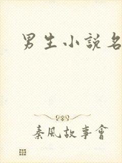 男生小说名字封面