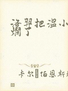 洛羿把温小辉做烂了封面