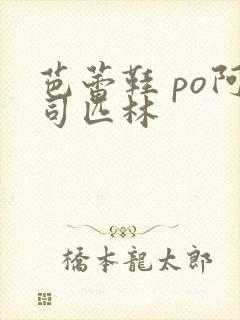 芭蕾鞋 po阿司匹林封面