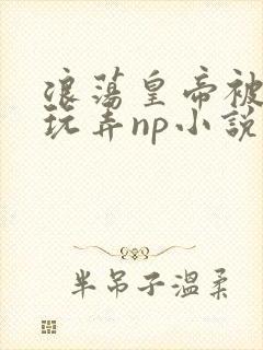 浪荡皇帝被多人玩弄np小说