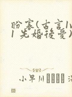 盼寡(古言1v1 先婚后爱)荔枝好多封面