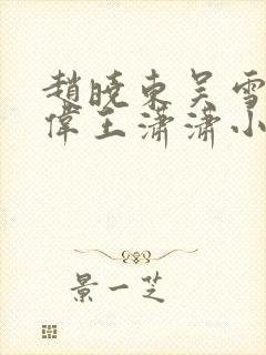 赵晓东吴雪晴郑伟王潇潇小说名字