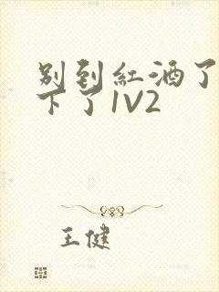 别到红酒了装不下了1V2