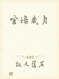 官场岁月
