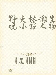 野火林潮生林晚晚小说人物野火封面