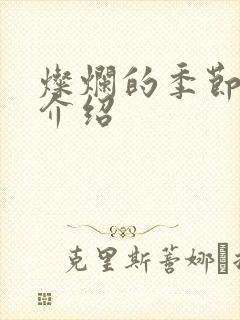 灿烂的季节剧情介绍