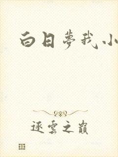 白日梦我小说