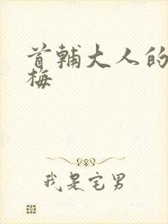 首辅大人的小青梅