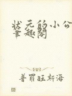 状元的小公主 笔趣阁封面