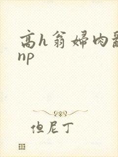 高h翁妇肉乱文np封面
