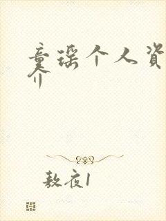 童瑶个人资料简介封面