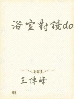 浴室对镜doi封面