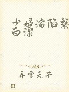 少妇沦陷系列之白洁封面