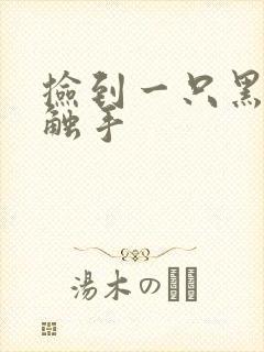 捡到一只黑心小触手