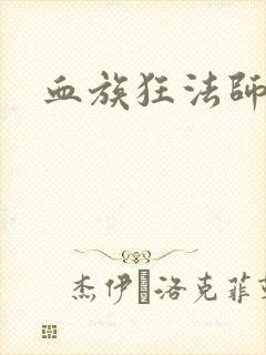 血族狂法师封面