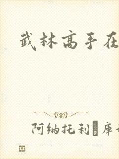 武林高手在异界