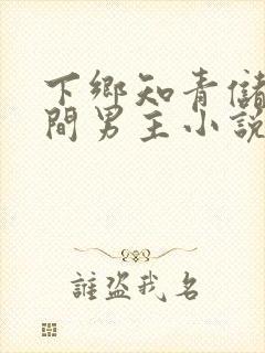 下乡知青储物空间男主小说