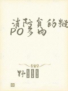 消防员的糙汉文PO多肉