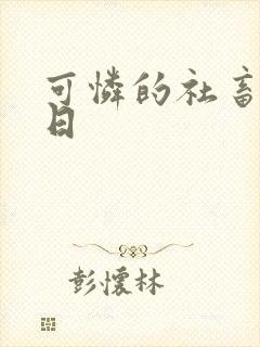 可怜的社畜东度日