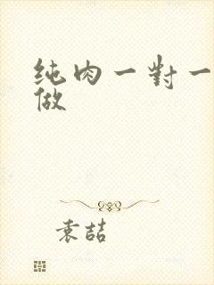 纯肉一对一到处做