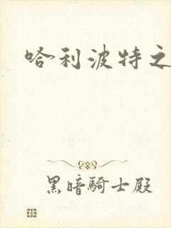 哈利波特之守护