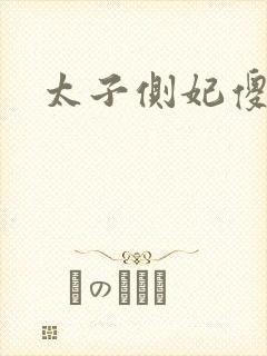 太子侧妃傻乎乎