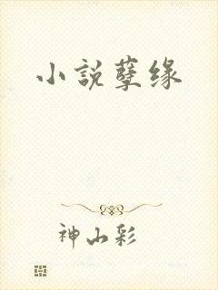 小说孽缘