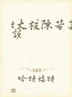 t大校陈若芸小说