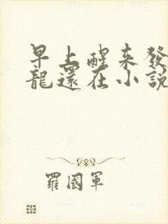 早上醒来发现巨龙还在小说