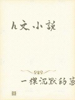 h文小说封面