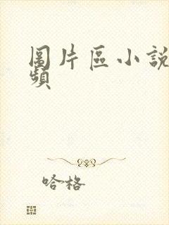 图片区小说区视频