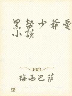 黑帮少爷爱上我小说