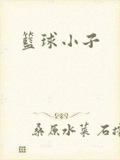 篮球小子