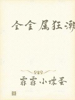 全金属狂潮小说